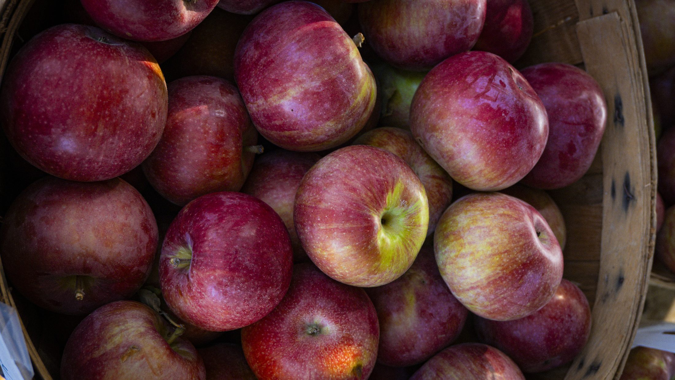 Close-up of fresh red apples in a basket