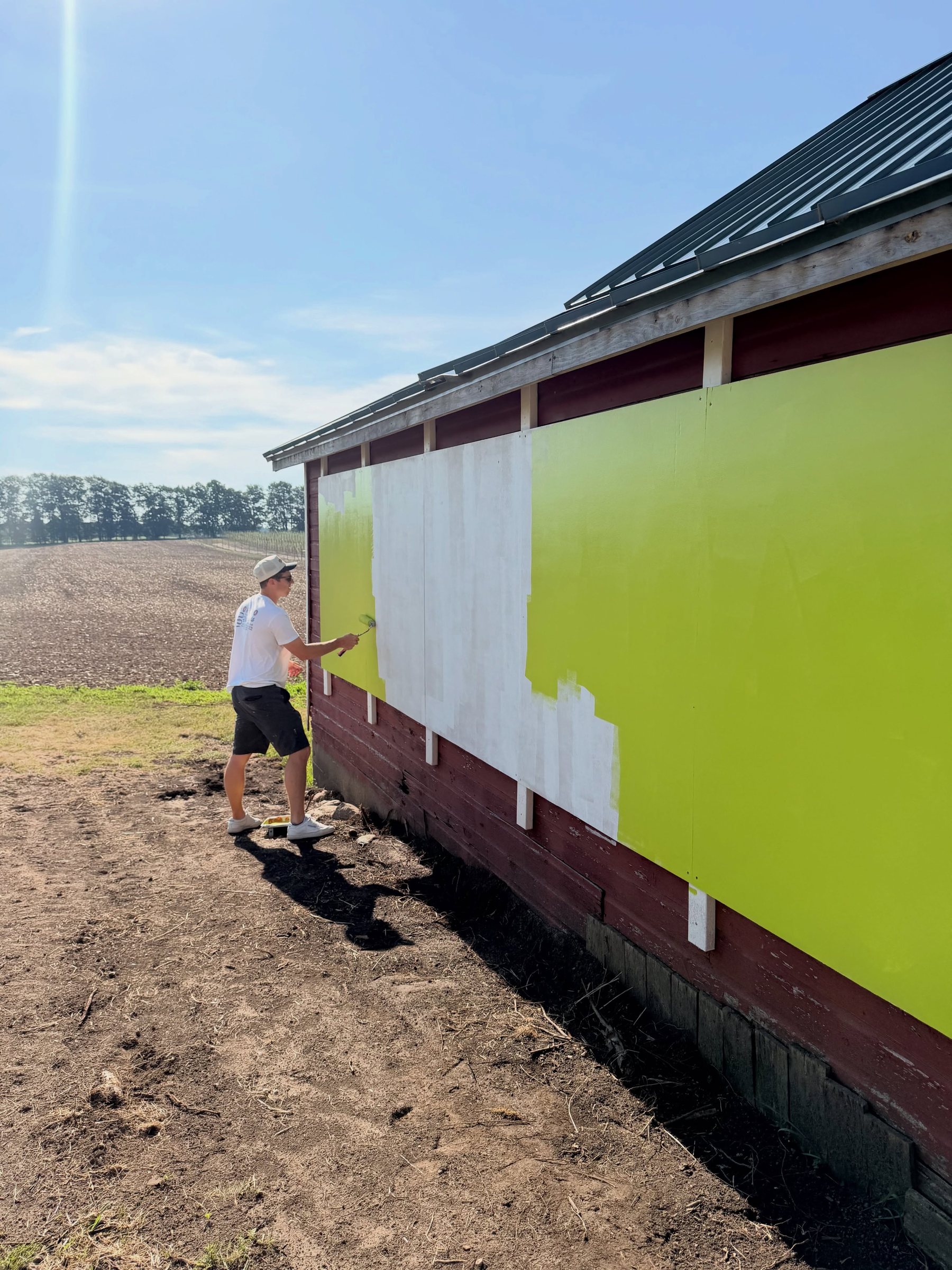 Rolling the first coat of green paint onto the barn wall